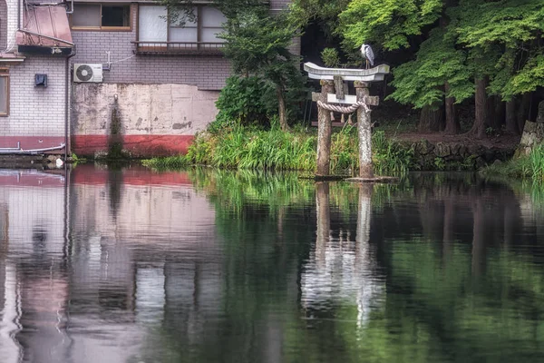 Grey Heron Sits Top Torii Gate Kinrin Lake Yufuin Japan — Stock Photo, Image