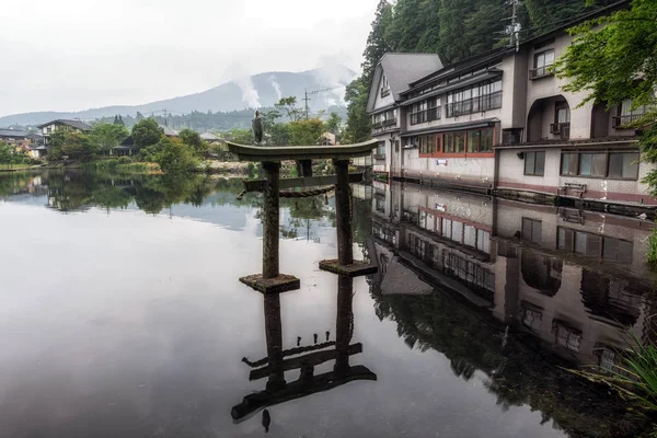 gri balıkçıl yakın kapı kinrin göl yufuin Japonya'da üstüne oturur. Sabah alınan