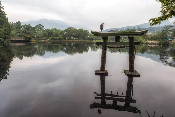gri balıkçıl yakın kapı kinrin göl yufuin Japonya'da üstüne oturur. Sabah alınan