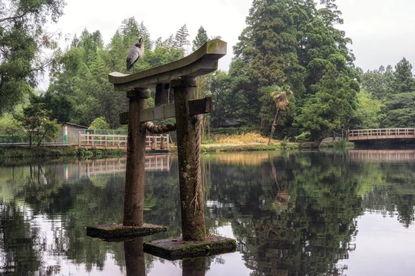 gri balıkçıl yakın kapı kinrin göl yufuin Japonya'da üstüne oturur. Sabah alınan
