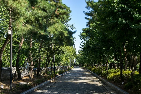 Yanghwajin 外国传教士公墓风景在 Hapjeong — 图库照片