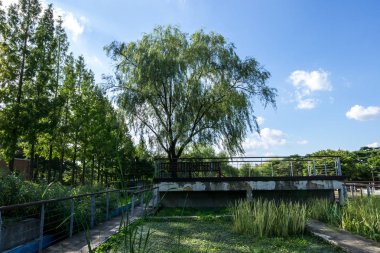 su Botanik Bahçesi seonyudo park manzarası. Seonyudo parkıdır ünlü parkın ortasında Han Nehri, Seoul, Güney Kore