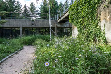 su Botanik Bahçesi seonyudo park manzarası. Seonyudo parkıdır ünlü parkın ortasında Han Nehri, Seoul, Güney Kore