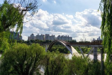 seonyudo Köprüsü çevresindeki park ağaçlar ve bitkiler ile Park çerçeve olarak görüntülenebilir. Seul, Güney Kore'de alınan
