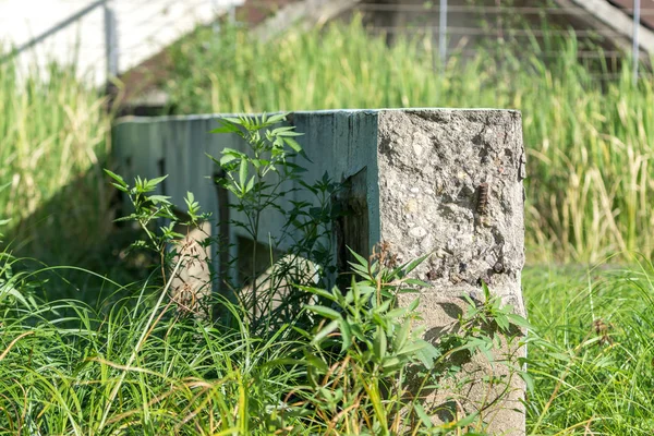 Plate Forme Béton Abaonded Dans Seonyudo Île Parc Séoul Corée — Photo