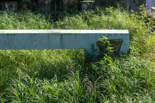 Plate Forme Béton Abaonded Dans Seonyudo Île Parc Séoul Corée — Photo