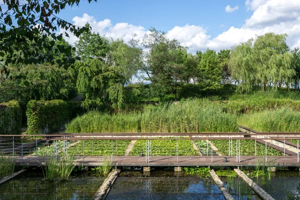 Aquatic Botanical Garden Seonyudo Park Scenery Seonyudo Park Famous Park — Stock Photo, Image