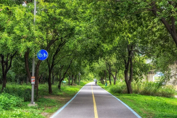 Fiume Han Seoul Corea Del Sud Pista Ciclabile Piste Ciclabili — Foto Stock