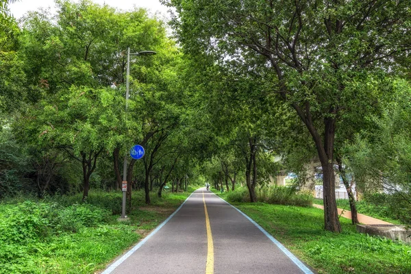 Fiume Han Seoul Corea Del Sud Pista Ciclabile Piste Ciclabili — Foto Stock