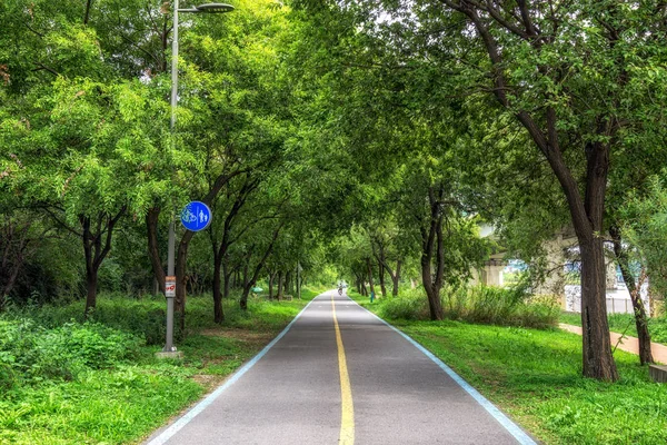 Fiume Han Seoul Corea Del Sud Pista Ciclabile Piste Ciclabili — Foto Stock