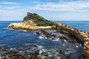Bal peteği ve mantar parçaları Yehliu geopark 'ta. Tayvan 'ın kuzey kıyısı boyunca çeşitli tortulu kayalar..