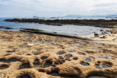 Bal peteği ve mantar parçaları Yehliu geopark 'ta. Tayvan 'ın kuzey kıyısı boyunca çeşitli tortulu kayalar..