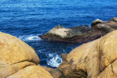 Bal peteği ve mantar parçaları Yehliu geopark 'ta. Tayvan 'ın kuzey kıyısı boyunca çeşitli tortulu kayalar..