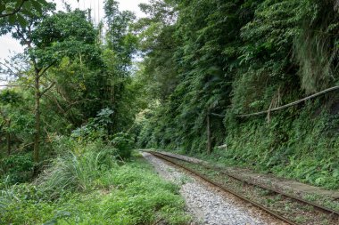 Pingxi demiryolu hattı yemyeşil orman ve dağ görüş