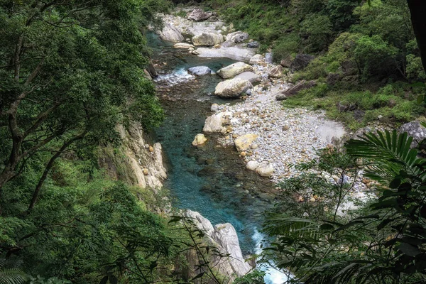 楽しもう川トレイル風景きれいな緑豊かなクリーク川の水です 太魯閣国立公園 台湾での撮影 — ストック写真