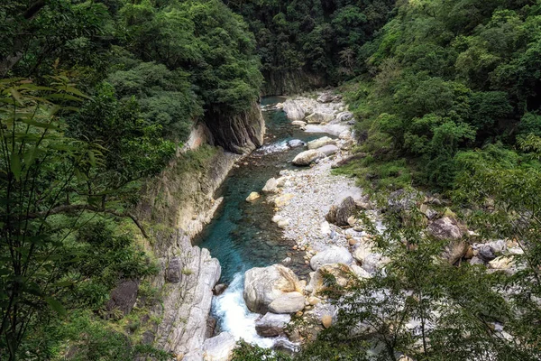 楽しもう川トレイル風景きれいな緑豊かなクリーク川の水です 太魯閣国立公園 台湾での撮影 — ストック写真
