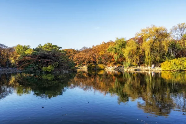 Reflections Autumn Fall Foliage Changgyeong Palace Seoul South Korea — Stock Photo, Image