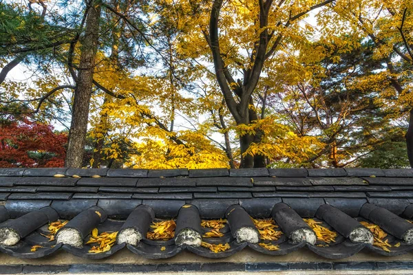 Telhas Changdeokgung Palácio Tomado Sob Outono Folhagem Queda — Fotografia de Stock