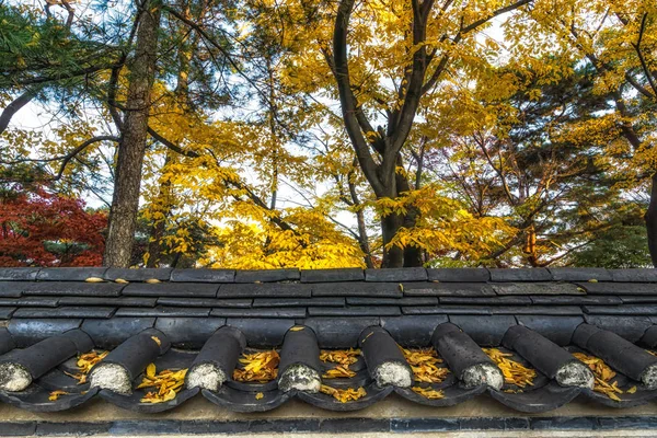Крыши Дворца Чангдеокгун Взяты Осеннюю Осеннюю Листву — стоковое фото