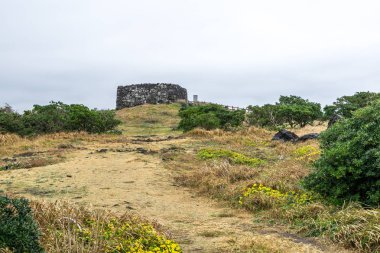 Seopjikoji manzara okyanus manzaralı kıyı çizgisinde birçok sivri taşlarla. Seopjikoji ünlü doğal dönüm noktası Jeju Adası, Güney Kore olduğunu