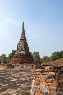 Wat Mahathat Prang ve Chedi veya Ayutthaya, Tayland 'daki Stupas manzarası