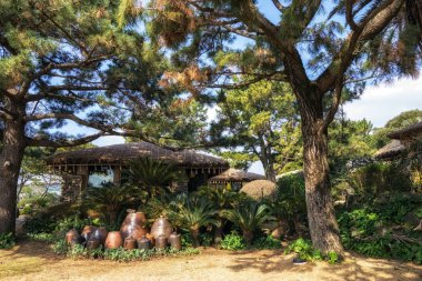 Jeju, Güney Kore 'deki Jeju adası köyündeki geleneksel jeju evlerinin samanlı çatıları..