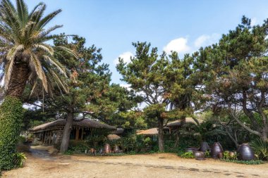 Jeju, Güney Kore 'deki Jeju adası köyündeki geleneksel jeju evlerinin samanlı çatıları..