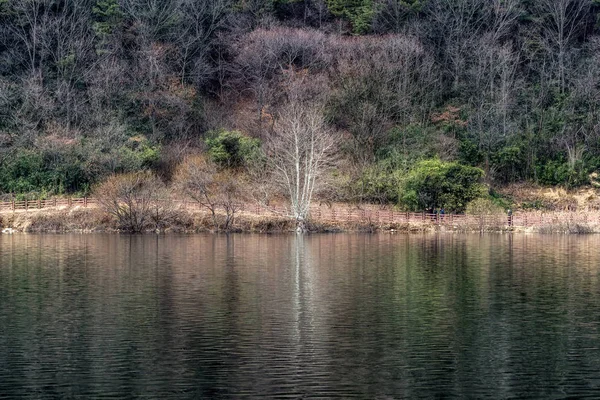 Geumpyeong Arbres Réservoir Nature Environnante Réfléchissant Sur Eau Geumpyeong Réservoir — Photo