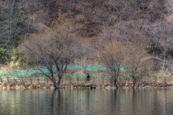 观音水库的树木和周围的自然反映在水面上 Geumpyeong水库位于韩国Jeollabukdo省Gimje — 图库照片