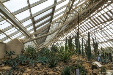 Bir Ulusal Enstitüsü ekoloji ekosistem farklı ılıman iklim çiçek ve fauna ile. Seocheon, Güney Kore'de alınan