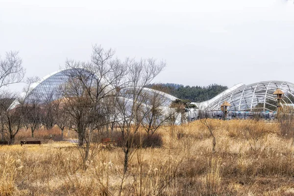 Seocheon National Institue Ecology Główna Sala Wystawowa Ecorium Otoczone Trzcinami — Zdjęcie stockowe
