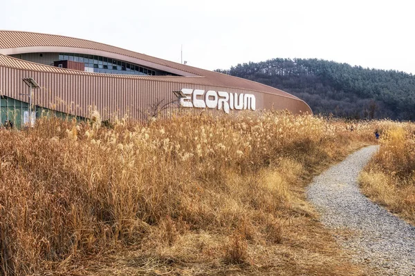 Seocheon National Institue Ecology Główna Sala Wystawowa Ecorium Otoczone Trzcinami — Zdjęcie stockowe