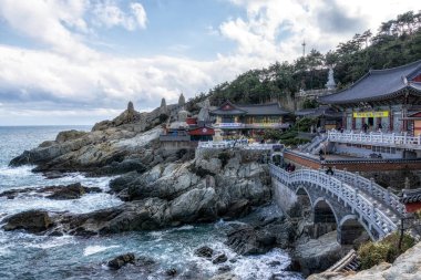 haedong yonggungsa Tapınağı görünümü. Okyanusun yanında ünlü Budist tapınağı inşa ve çam ağacı ormanları ile çevrilidir. Busan, Güney Kore'de çekilmiş. 14th Şubat 2019