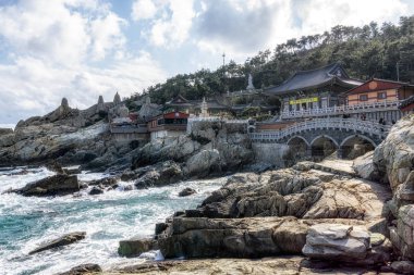 haedong yonggungsa Tapınağı görünümü. Okyanusun yanında ünlü Budist tapınağı inşa ve çam ağacı ormanları ile çevrilidir. Busan, Güney Kore'de çekilmiş. 14th Şubat 2019