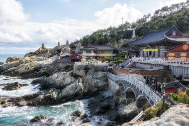 haedong yonggungsa Tapınağı görünümü. Okyanusun yanında ünlü Budist tapınağı inşa ve çam ağacı ormanları ile çevrilidir. Busan, Güney Kore'de çekilmiş. 14th Şubat 2019