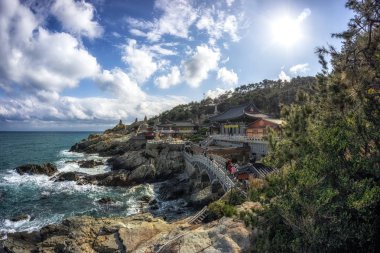 haedong yonggungsa Tapınağı görünümü. Okyanusun yanında ünlü Budist tapınağı inşa ve çam ağacı ormanları ile çevrilidir. Busan, Güney Kore'de çekilmiş. 14th Şubat 2019