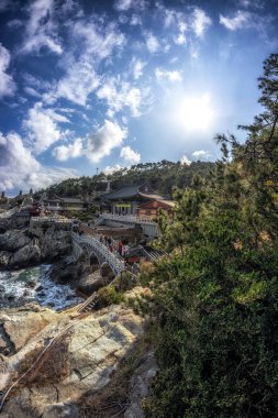 haedong yonggungsa Tapınağı görünümü. Okyanusun yanında ünlü Budist tapınağı inşa ve çam ağacı ormanları ile çevrilidir. Busan, Güney Kore'de çekilmiş. 14th Şubat 2019