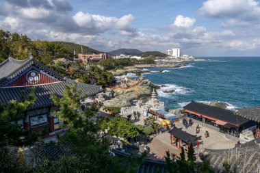 haedong yonggungsa Tapınağı görünümü. Okyanusun yanında ünlü Budist tapınağı inşa ve çam ağacı ormanları ile çevrilidir. Busan, Güney Kore'de çekilmiş. 14th Şubat 2019