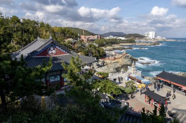 haedong yonggungsa Tapınağı görünümü. Okyanusun yanında ünlü Budist tapınağı inşa ve çam ağacı ormanları ile çevrilidir. Busan, Güney Kore'de çekilmiş. 14th Şubat 2019
