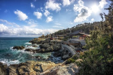 haedong yonggungsa Tapınağı görünümü. Okyanusun yanında ünlü Budist tapınağı inşa ve çam ağacı ormanları ile çevrilidir. Busan, Güney Kore'de çekilmiş. 14th Şubat 2019