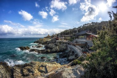 haedong yonggungsa Tapınağı görünümü. Okyanusun yanında ünlü Budist tapınağı inşa ve çam ağacı ormanları ile çevrilidir. Busan, Güney Kore'de çekilmiş. 14th Şubat 2019