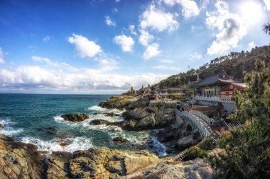 haedong yonggungsa Tapınağı görünümü. Okyanusun yanında ünlü Budist tapınağı inşa ve çam ağacı ormanları ile çevrilidir. Busan, Güney Kore'de çekilmiş. 14th Şubat 2019