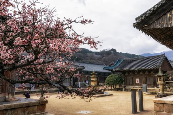 Tongdosa Buddhistický Chrám Hlavní Chrám Chiseosan Hoře Nedaleko Yangsan Tongdosa — Stock fotografie