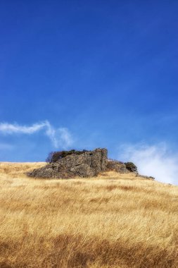 Ganwoljae parçası youngnam alps içinde yakındaki: Ulsan, South Korea. Dağ tepe üstünde tepe-in vahşi büyüyen uzun kış sarı kamış.