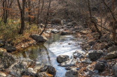 Sinbulsan, Güney Kore, Ulsan 'daki ulusal orman dere suyundan düştü.