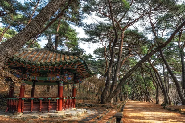 Een Kleine Koreaanse Pagode Paviljoen Pine Tree Forest Grove Mupunghansong — Stockfoto