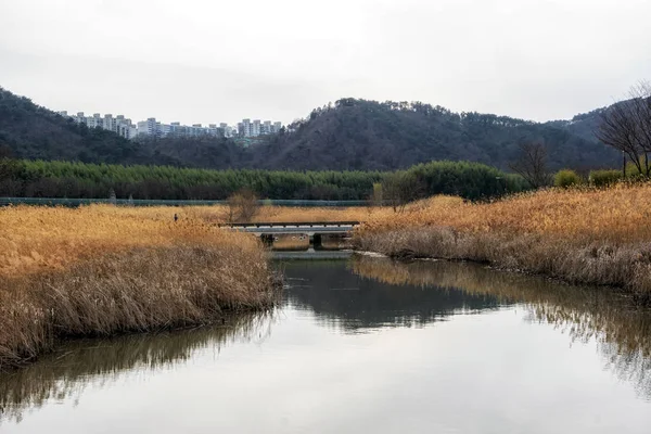 Taehwagang park stroiki most — Zdjęcie stockowe