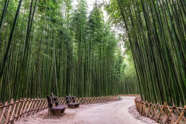 Simnidaebat bamboo forest bench
