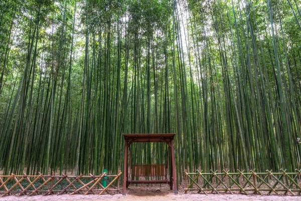 Simnidaebat Bambu Ormandaki Bir Bank Ulsan Taehwagang River Grand Park — Stok fotoğraf