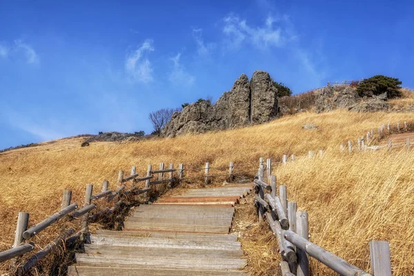 Ganwoljae trails with reeds — Stock Photo, Image